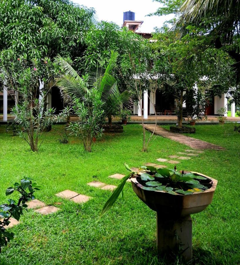Castle View Sigiriya Ξενοδοχείο Εξωτερικό φωτογραφία
